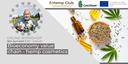 Workshop online “Cadeia de Valor da Bioeconomia – cosméticos de cânhamo” 